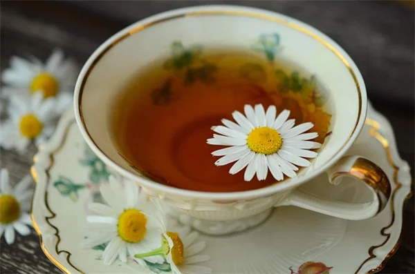 7月に花の種をまくのは遅すぎる？おすすめの8選