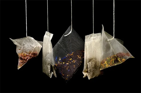 除草のベストタイミング3選｜知っておくだけで効率アップ
