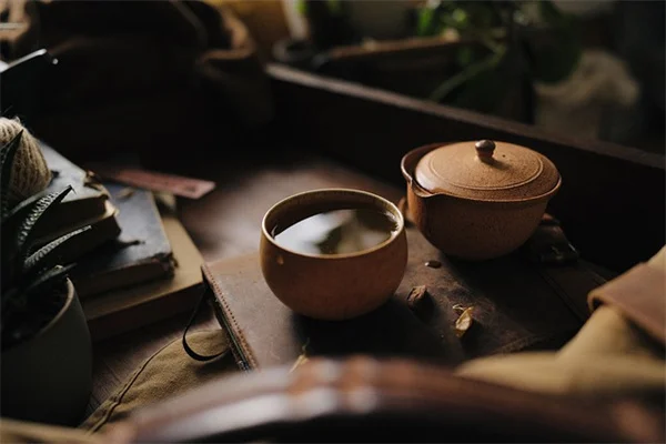 ピージー・アジサイの育て方完全ガイド！プロが教える剪定・トラブル・冬越しまで
