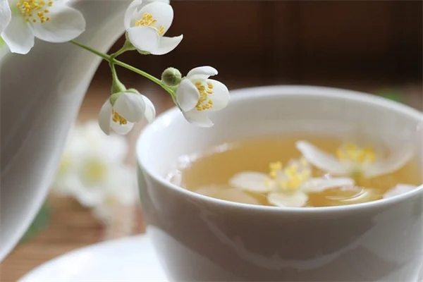室内植物がもたらす10の心理的健康効果——私が実感した変化