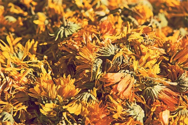 プロも使う！花束がぐっと引き締まるダークグリーンの葉っぱ5選【実例あり】